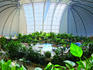 Was ist Tropical Islands genau?