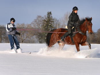 Winterprognose 2010/2011