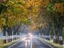 Wettertrend:Herbst bleibt richtiger Herbst