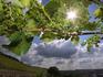 Wettertrend: Erst Wolkenbruch, dann Sommer-Feeling