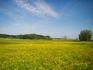 Wetter-Trend: Wonnemonat Mai endet schön