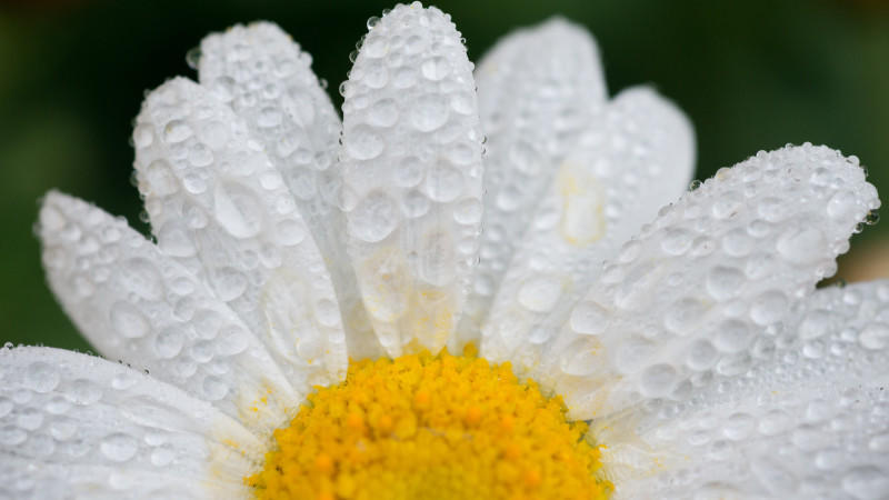 Auf Sonnenschein folgt Regen