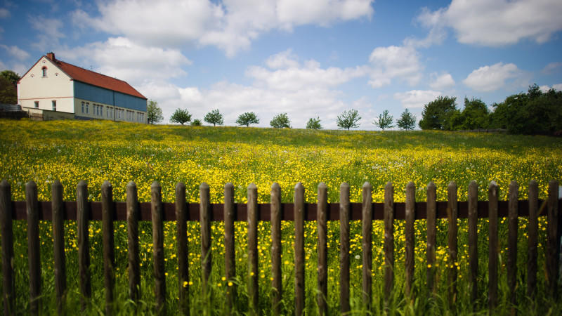 Sommer traut sich nicht über den Zaun