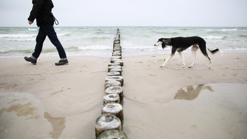 Der Sommer traut sich nicht über den Zaun