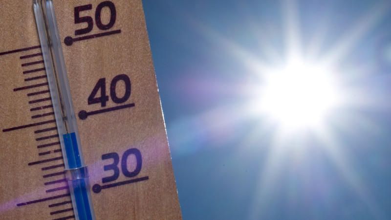 Die aktuellen Werte, Winddaten und Wetterzustände