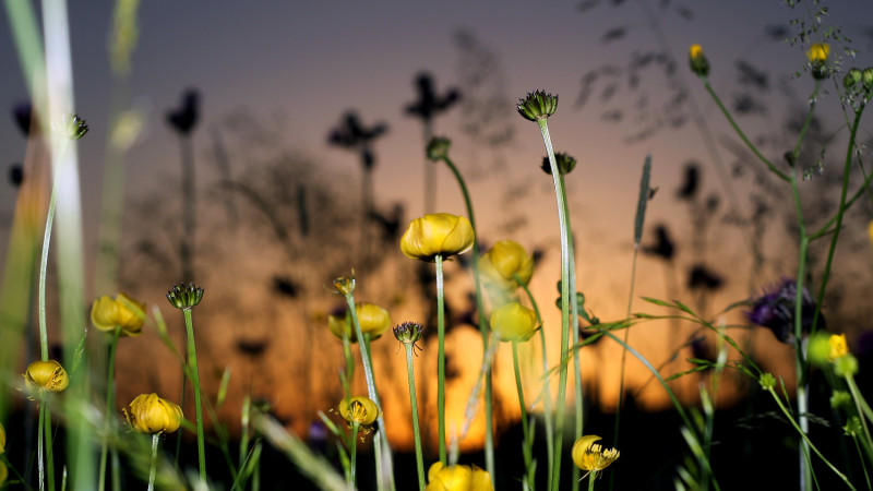 Der Sommer legt bis Ende Juni Pause ein 